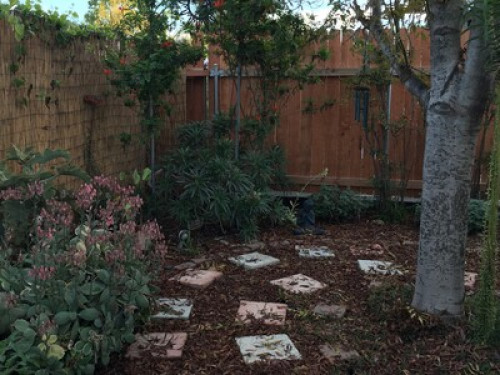 Garden Sanctuary Near Colleges - Gallery - 15