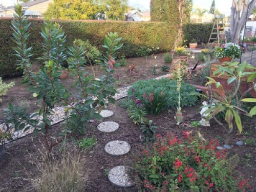 Garden Sanctuary Near Colleges - Gallery - 21