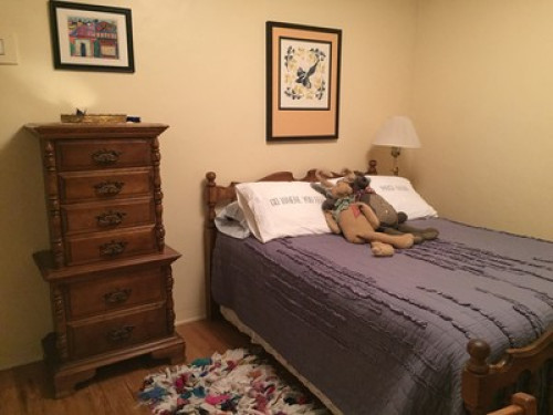 Garden Sanctuary Near Colleges - Gallery - 3