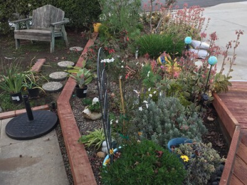 Garden Sanctuary Near Colleges - Gallery - 12