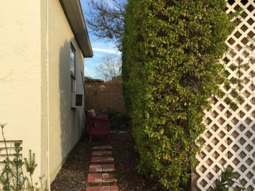 Garden Sanctuary Near Colleges - Gallery - 16