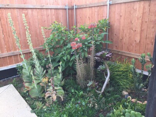 Garden Sanctuary Near Colleges - Gallery - 18
