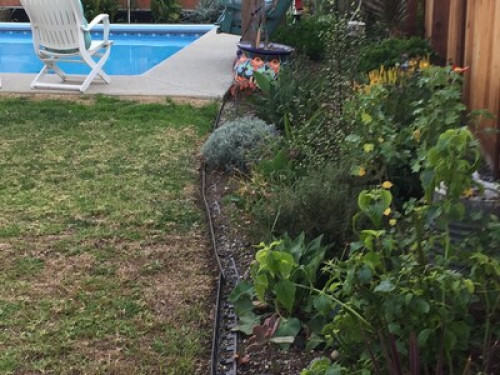 Garden Sanctuary Near Colleges - Gallery - 20
