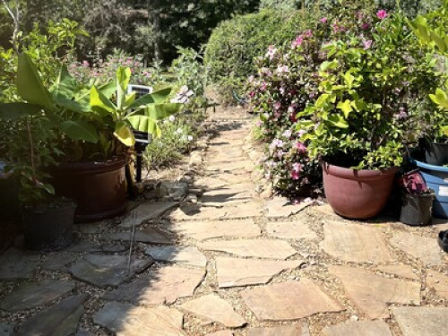 Peaceful retreat  - Gallery - 8