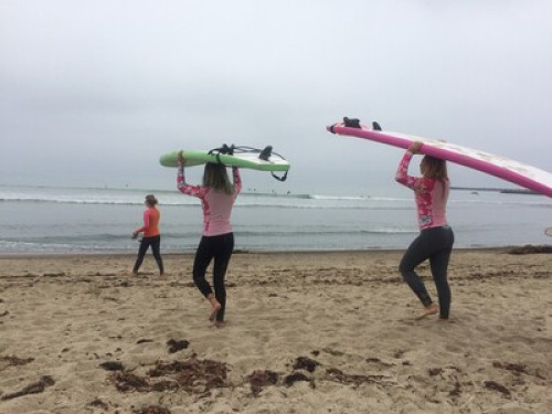 Teacher who loves pets & the ocean - Gallery - 2