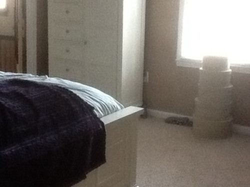 Cabin - Gallery - 11