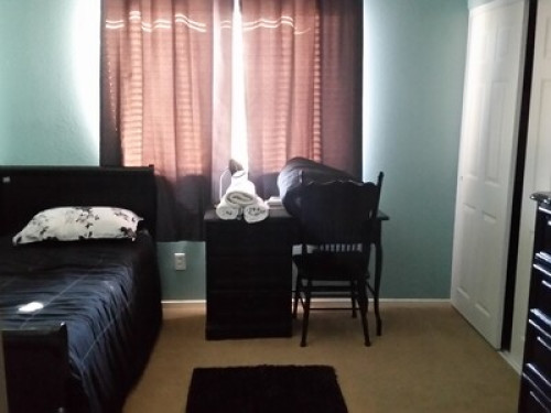 We have 2 rooms available at moment - Gallery - 3