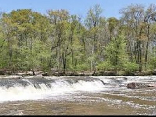 River Retreat - Gallery - 5