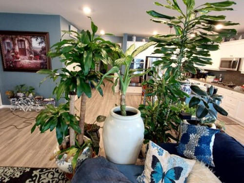 Relaxing Tropical Nature vibe - Gallery - 15