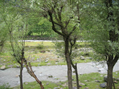 HAKEEM HOMESTAY in Kashmir - Gallery - 4