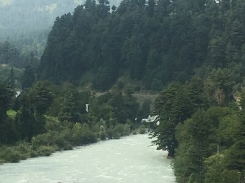 HAKEEM HOMESTAY in Kashmir - Gallery - 7