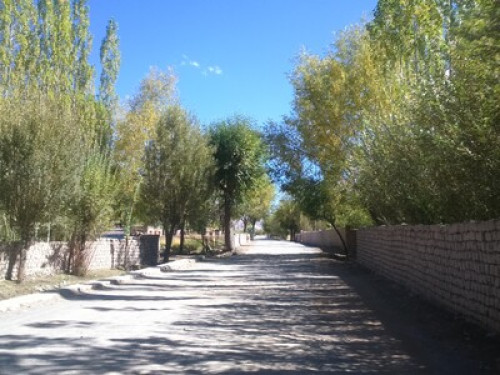 Amir homestay leh ladakh - Gallery - 4