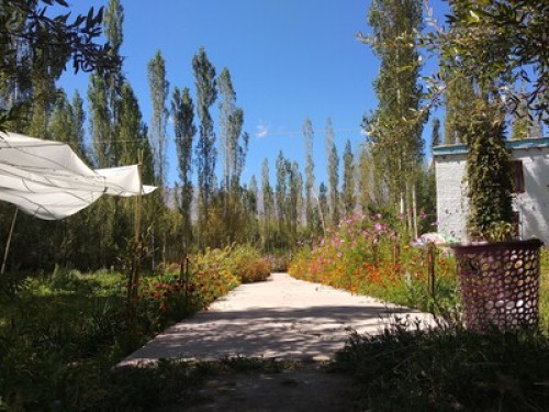 Amir homestay leh ladakh - Gallery - 6