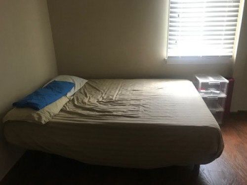 Friendly and Hospitable Family - Gallery - 4