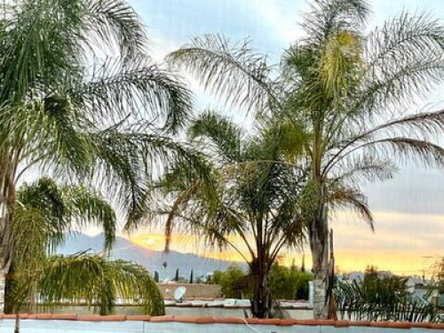 Relaxed Private Room in Glendale  - Gallery - 3