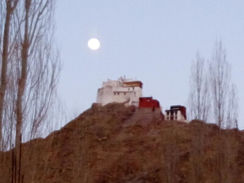 NiriLa Ladakh guest house - Gallery - 5