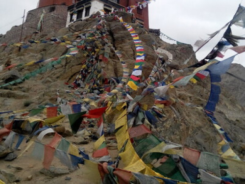 NiriLa Ladakh guest house - Gallery - 16