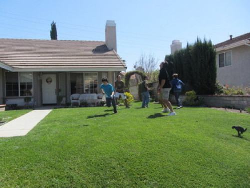 Sunny Lovely California USA  - Gallery - 3