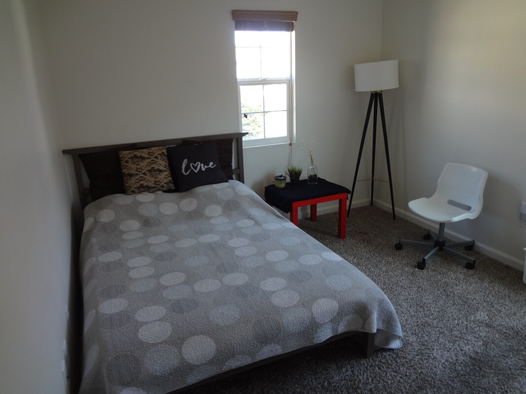 Galaxy Suite(Single Bed) - 1