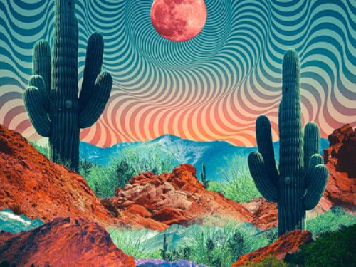 HEALING DESERT HOME  - Gallery - 64