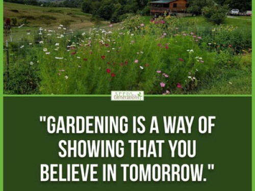 Garden Glory - Gallery - 15