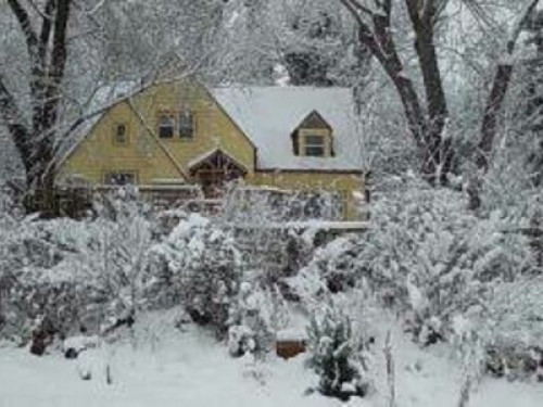 Pet Friendly Home of Gemstone Elves - Gallery - 9