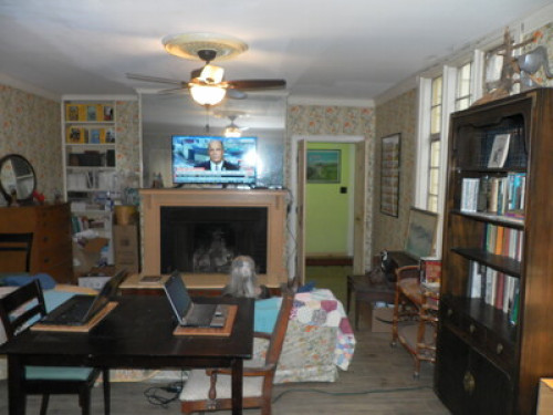 Pet Friendly Home of Gemstone Elves - Gallery - 14