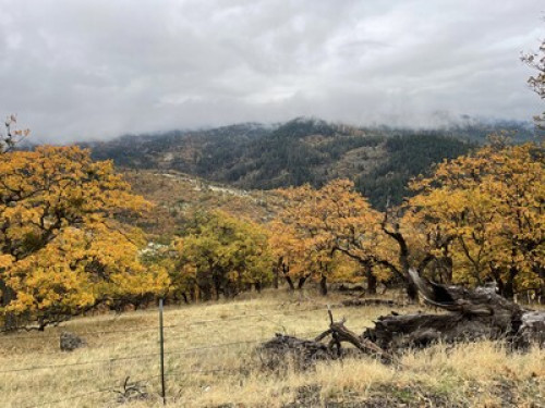 Paso Robles WIne Country - Gallery - 14