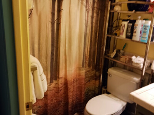 Randy's Roost  - artist's studio - Gallery - 2