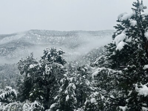 Room in Jemez Mountain retreat 