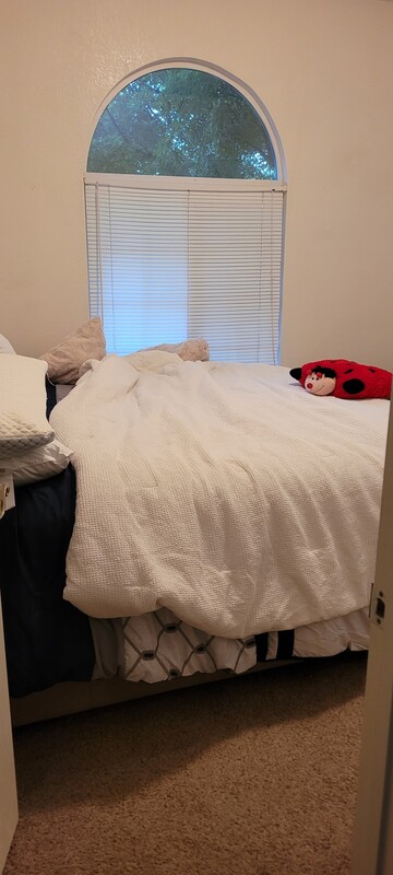 Private Room(Single Bed) - 1