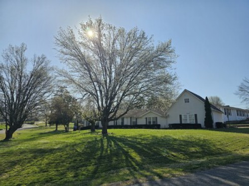 Private Studio in Hendersonville - Gallery - 3