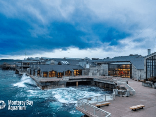 Bay Views For You - Gallery - 17