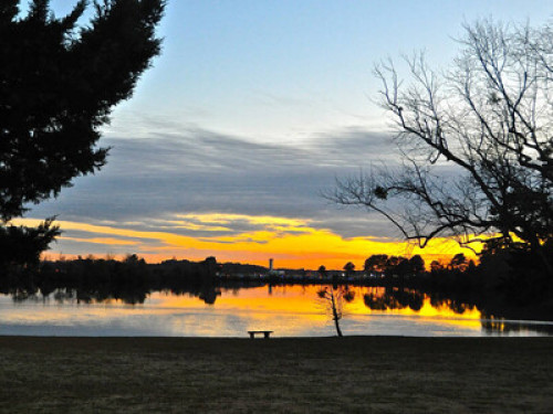 Mid-Century Modern Lakefront Estate - Gallery - 12