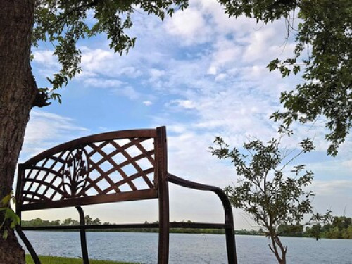 Mid-Century Modern Lakefront Estate - Gallery - 9