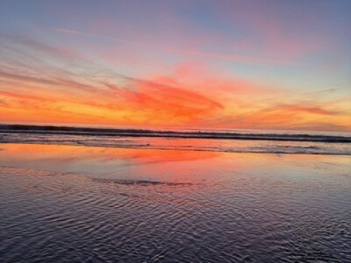 Bright & Light Room by the Beach