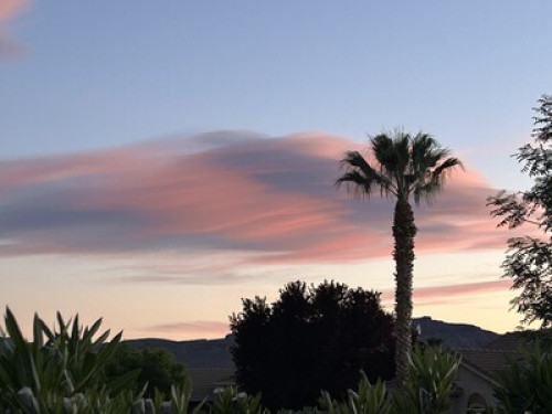 Quiet Retreat - Gallery - 14
