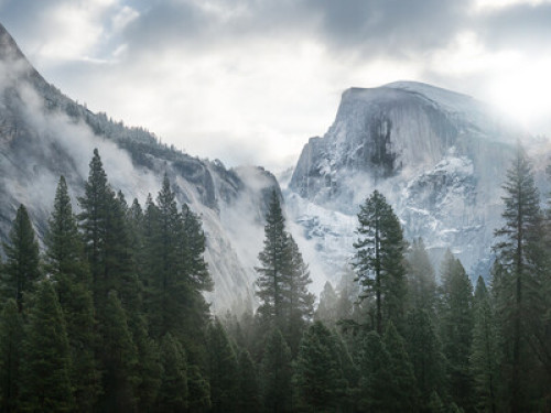 Oak Retreat by Yosemite NP - Gallery - 5