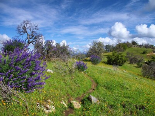 Oak Retreat by Yosemite NP - Gallery - 11
