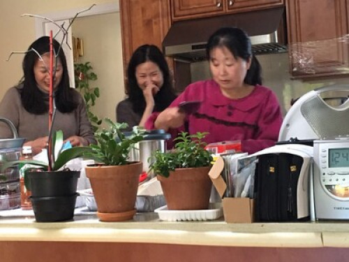 Home stay  - Gallery - 7