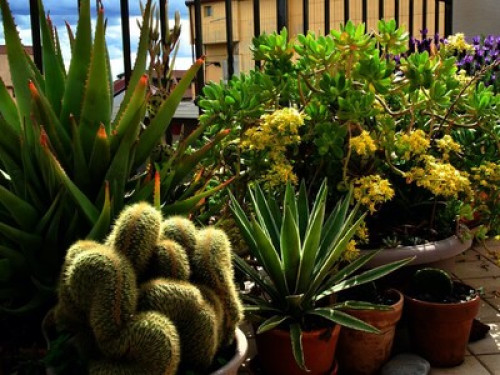 Cozy room on the foothills of Etna - Gallery - 4