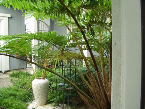Garden home near wineries - Gallery - 4