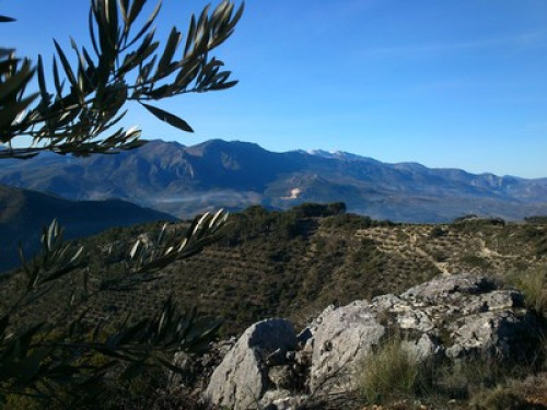 Mágina Dream Pegalajar, Jaén - Gallery - 18