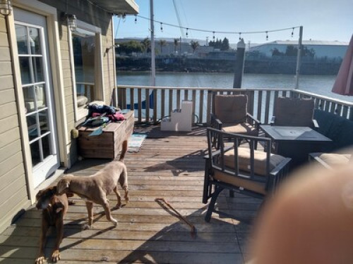 Water view quiet neighborhood - Gallery - 4