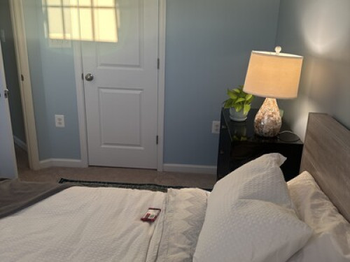 Cozy Room w/ Healer & Cat, walkable