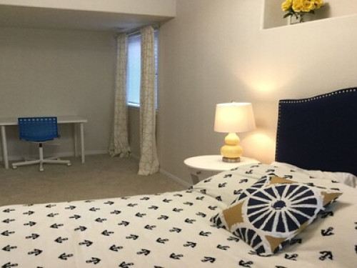 Lone-Tree 2beds/ 1bath walkout apt - Gallery - 12