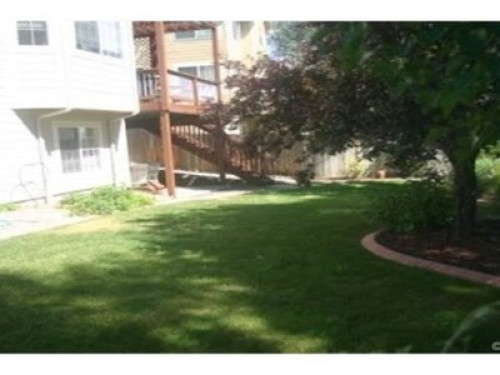 Lone-Tree 2beds/ 1bath walkout apt - Gallery - 8