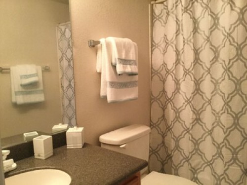 Lone-Tree 2beds/ 1bath walkout apt - Gallery - 11