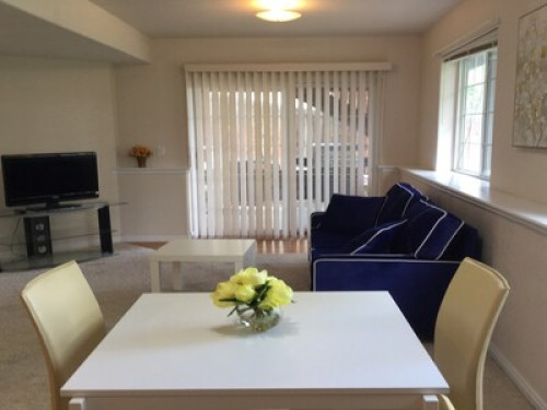 Lone-Tree 2beds/ 1bath walkout apt - Gallery - 16