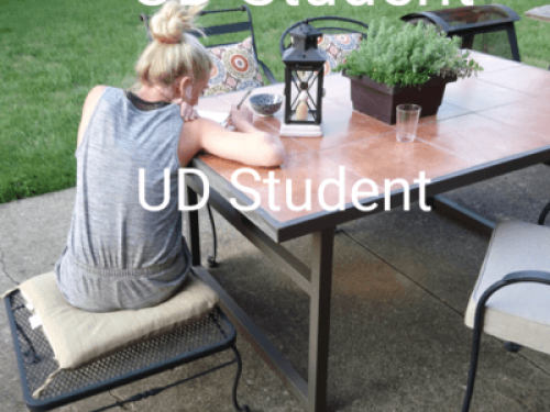  Traveling Students & Professionals - Gallery - 73